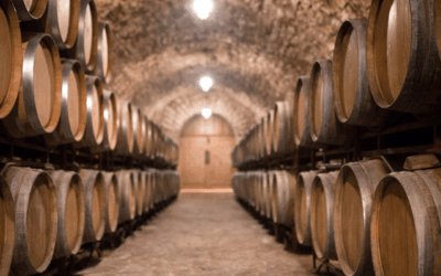 Wine Tours in Ireland: A New Chapter in Irish Tourism