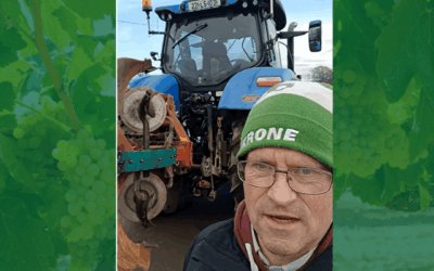 Letting the Plough Go: A Quiet Turning Point on the Farm