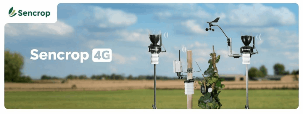 Two Sencrop 4G weather stations installed beside a young vine in open farmland