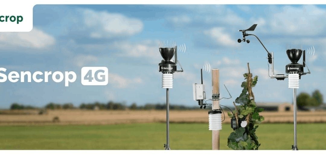 Installing a Sencrop 4G+ Weather Station at Irish Wine Estates: A Game Changer for Irish Viticulture