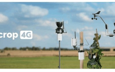 Installing a Sencrop 4G+ Weather Station at Irish Wine Estates: A Game Changer for Irish Viticulture