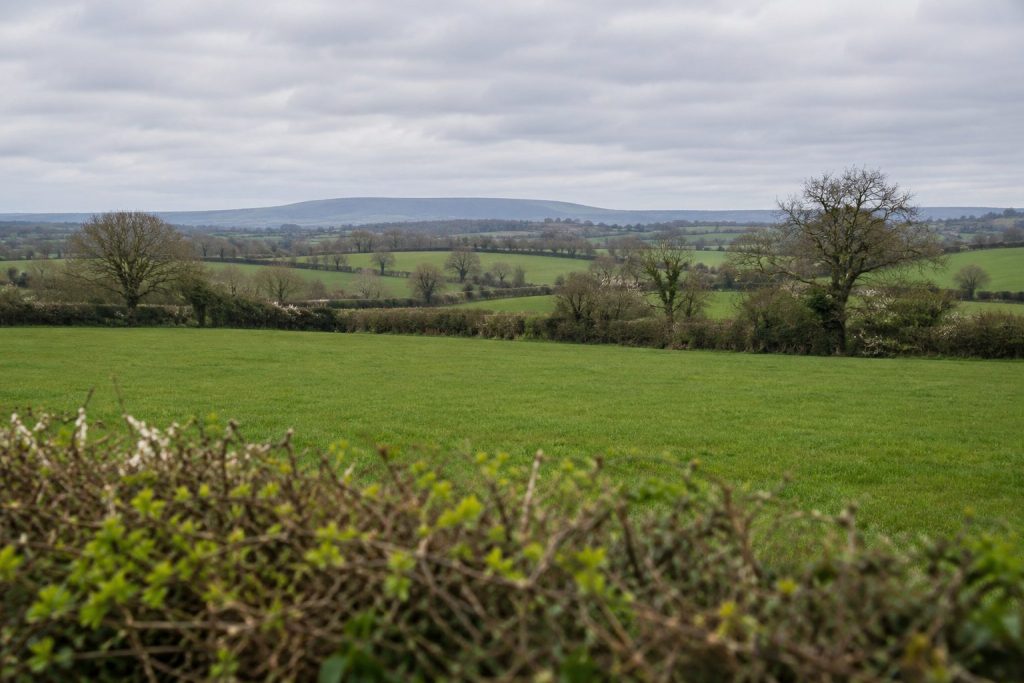 Open Irish farmland bounded by hedgerows on an overcast spring day, with low hills on the horizon