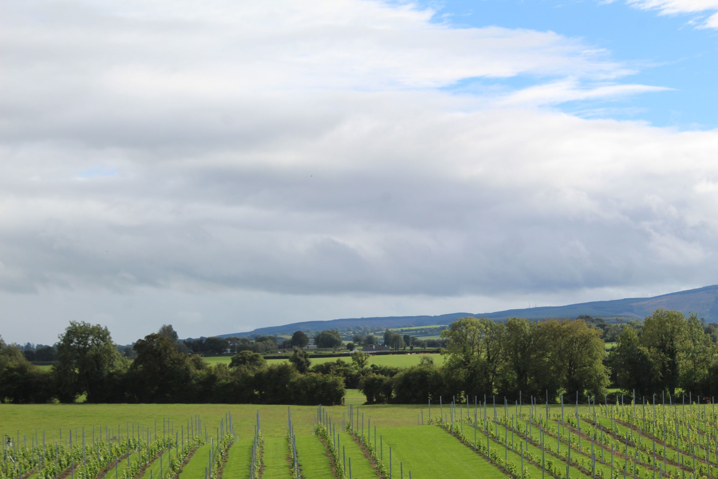 Farmland and hills in South Offaly under a bright sky